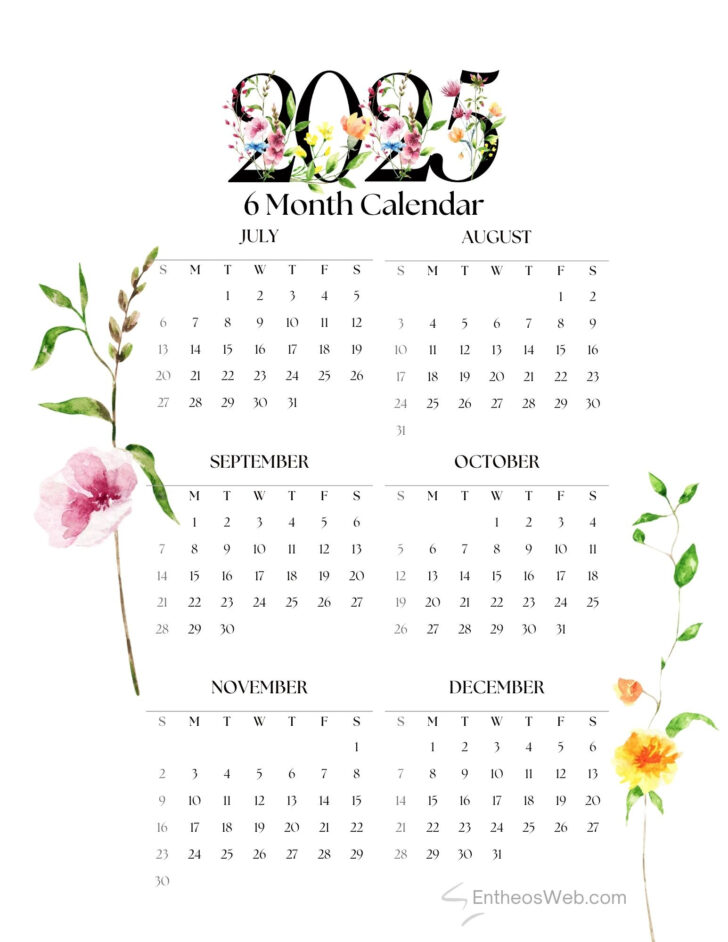 June 2025 to December 2025 Calendar