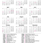 2025 Calendar Sri Lanka Printable Pdf | Sinhala Tamil English – Printable Calendar 2025 with Holidays Sri Lanka