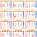 2025 Calendar With Federal Holidays – Printable Federal Pay Period Calendar 2025
