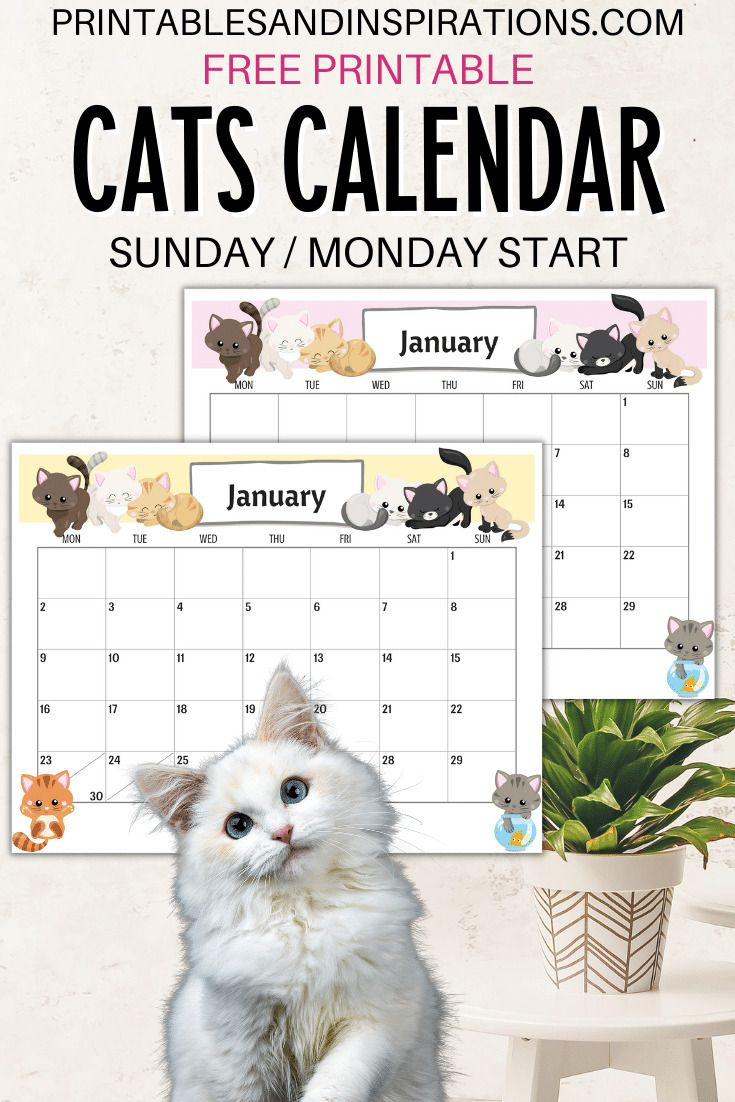 2025 Cute Cats Free Printable Monthly Calendar - Printables And - Free Printable Cat Calendar 2025