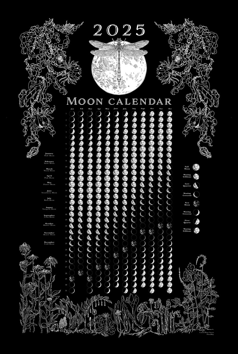 2025 Moon Phase Calendar (Download Png) - United Plant Savers - 2025 Moon Phases Calendar Printable