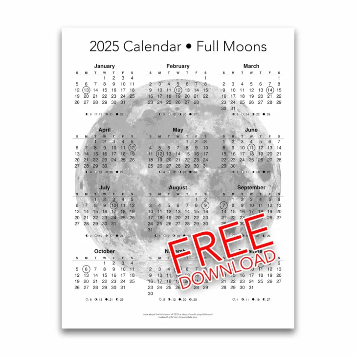 Printable Calendar 2025 with Moon