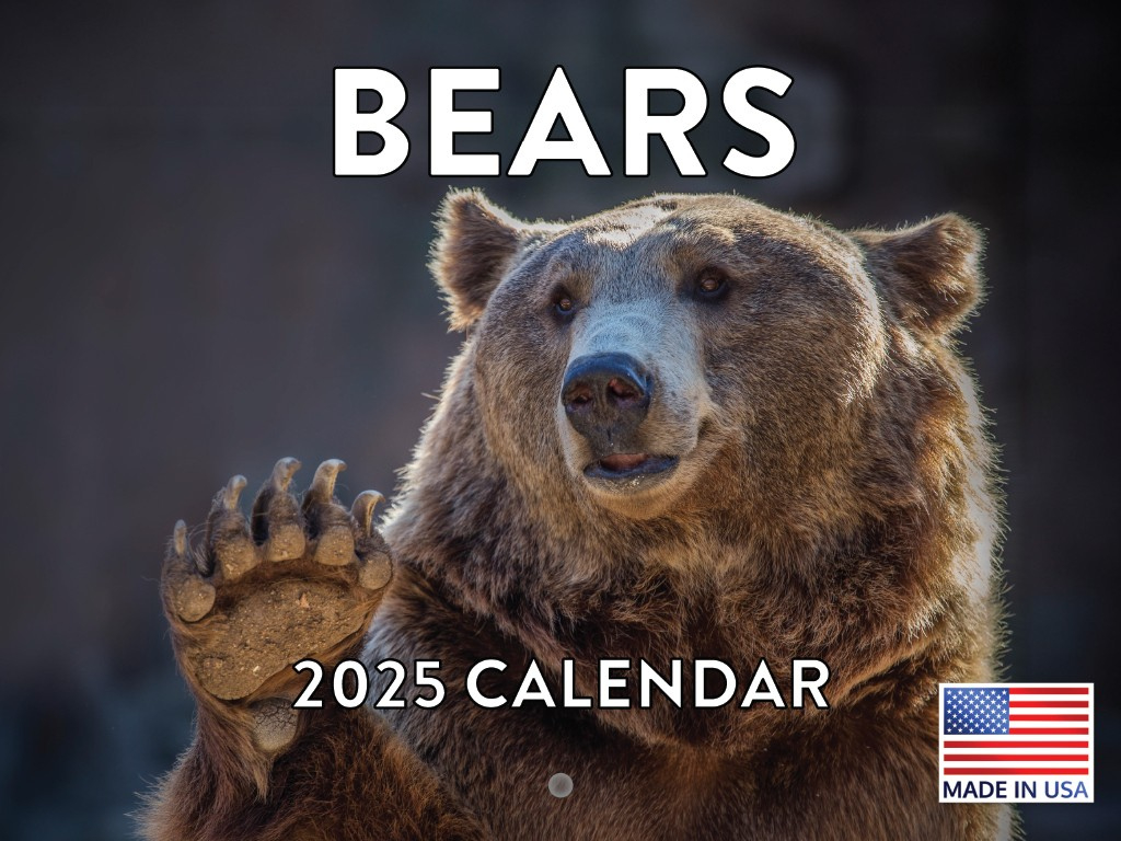 Bear Calendar 2025 Bears Monthly Wall Calender 12 Month | Ebay - Grizzly Bears 2025 Calendar Printable