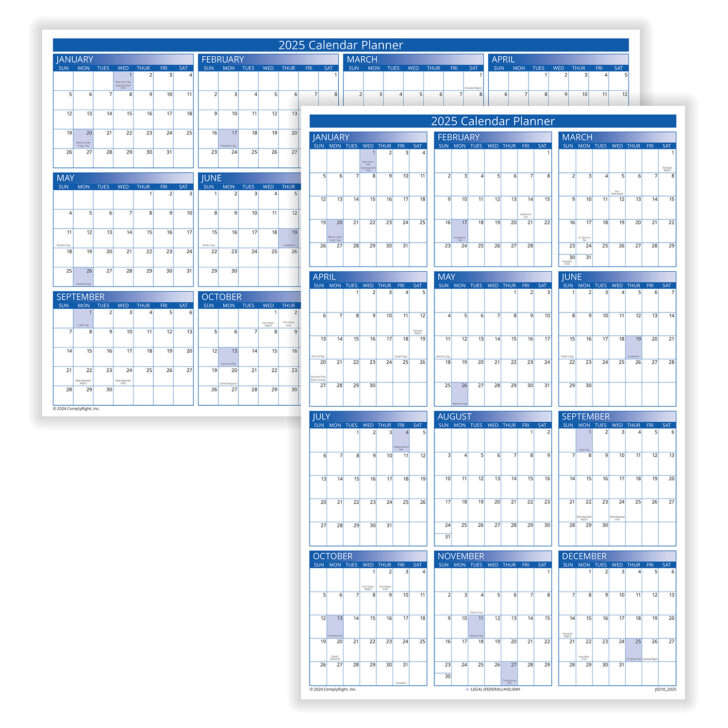11 X 17 Printable Calendar 2025