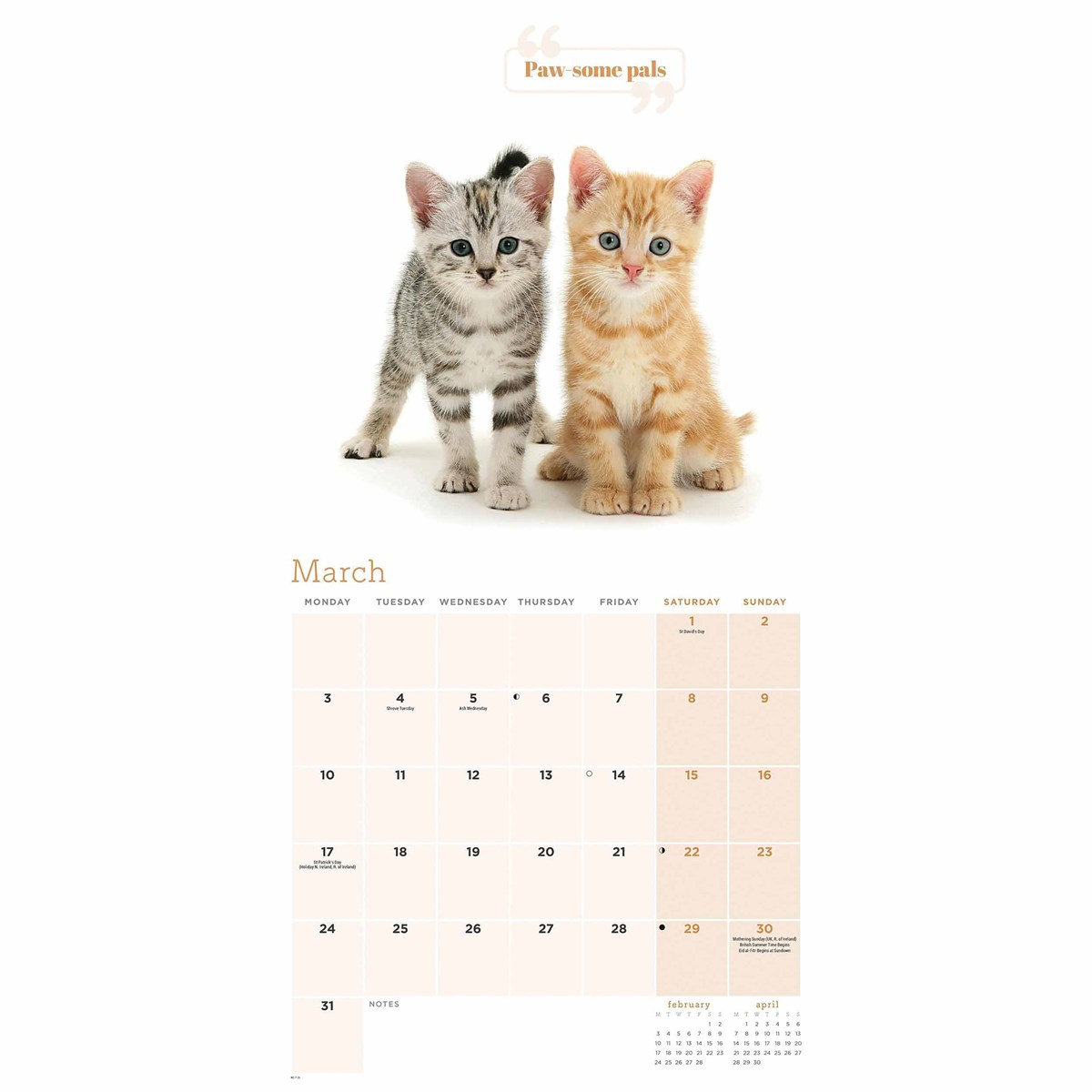 Cute Cats Calendar 2025 - Cat Calendar 2025 Printable