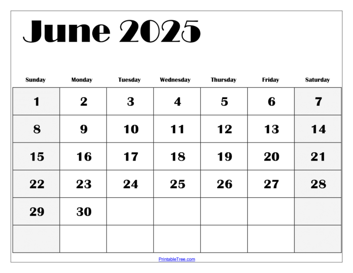 Printable Calendar 2025 Monthly June