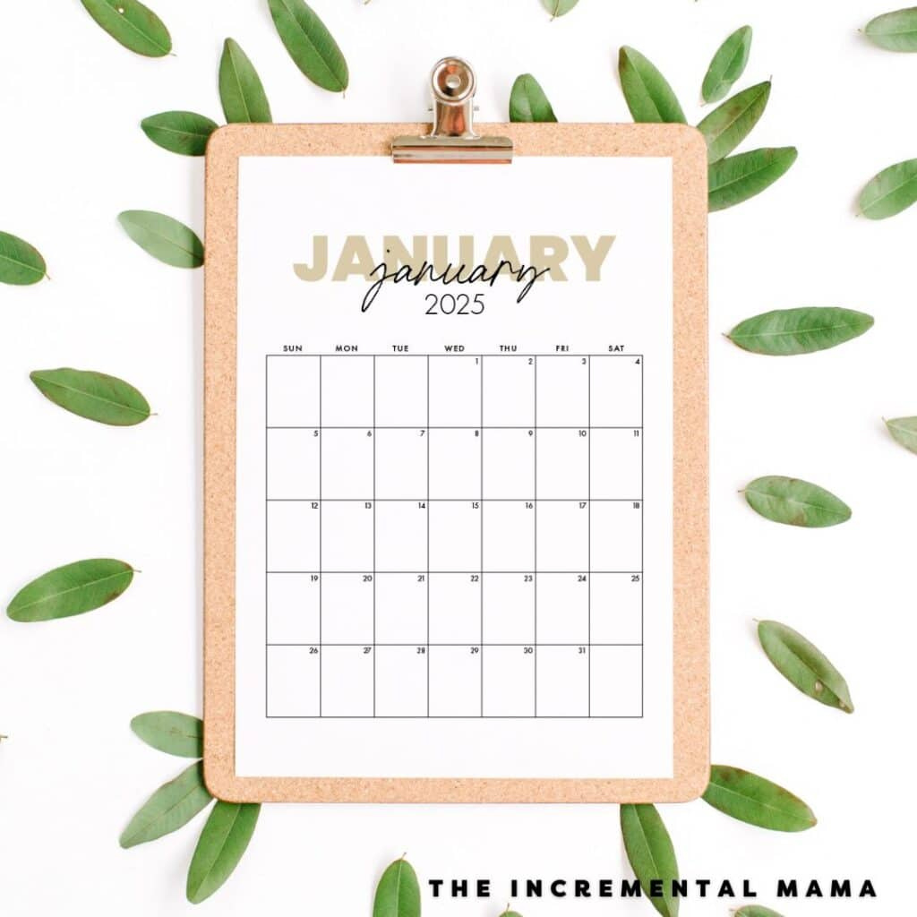 Free Printable 2025 Monthly Calendar (January - December Pdfs - Free Printable Month By Month Calendar 2025