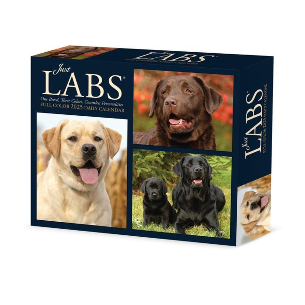 &amp;quot;Labs 2025 6.2 X 5.4 Box Calendar&amp;quot; Kaufen - July 2025 Calendar Labs