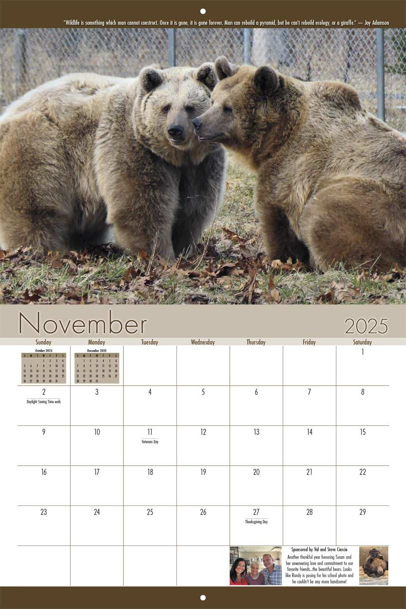 Orphaned Wildlife Center 2025 Calendar - Yearbox Calendars - Grizzly Bears 2025 Calendar Printable