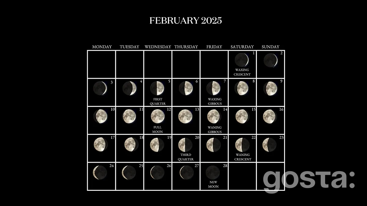 Lunar Calendar For February 2025: Favorable Days - Lunar Haircut Calendar August 2025