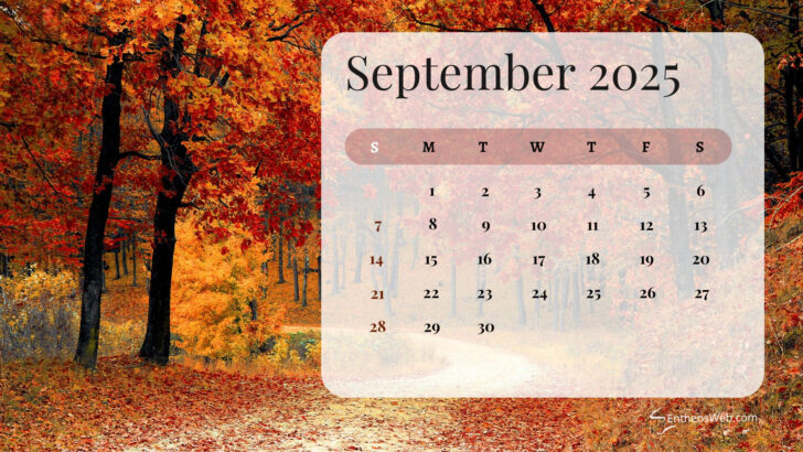 September 2025 Background
